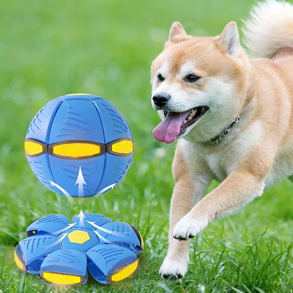 Automatic Interactive Rolling Dog Ball